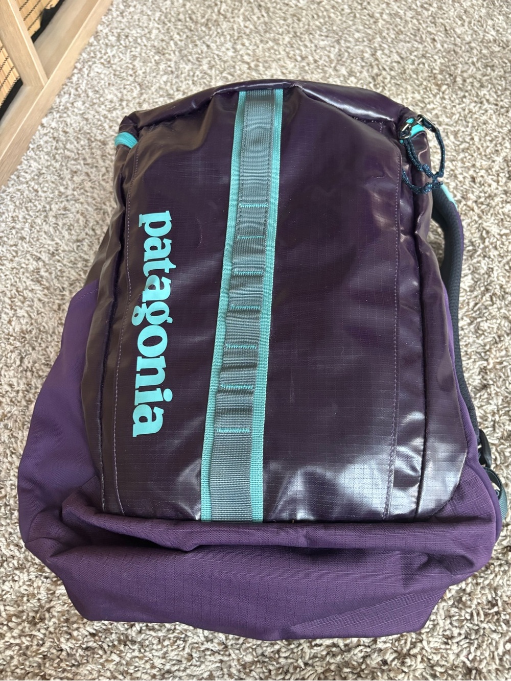 Patagonia Purple Backpack with black hole  25l Teal Trim